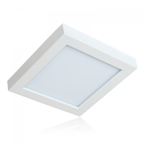 LED Ceiling Light