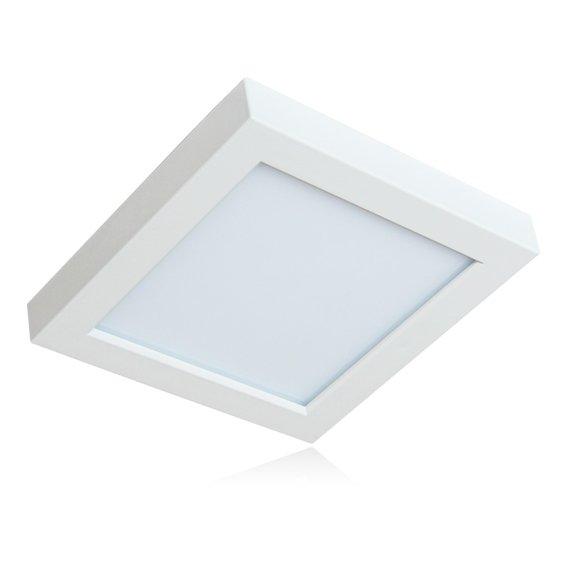 LED Ceiling Light